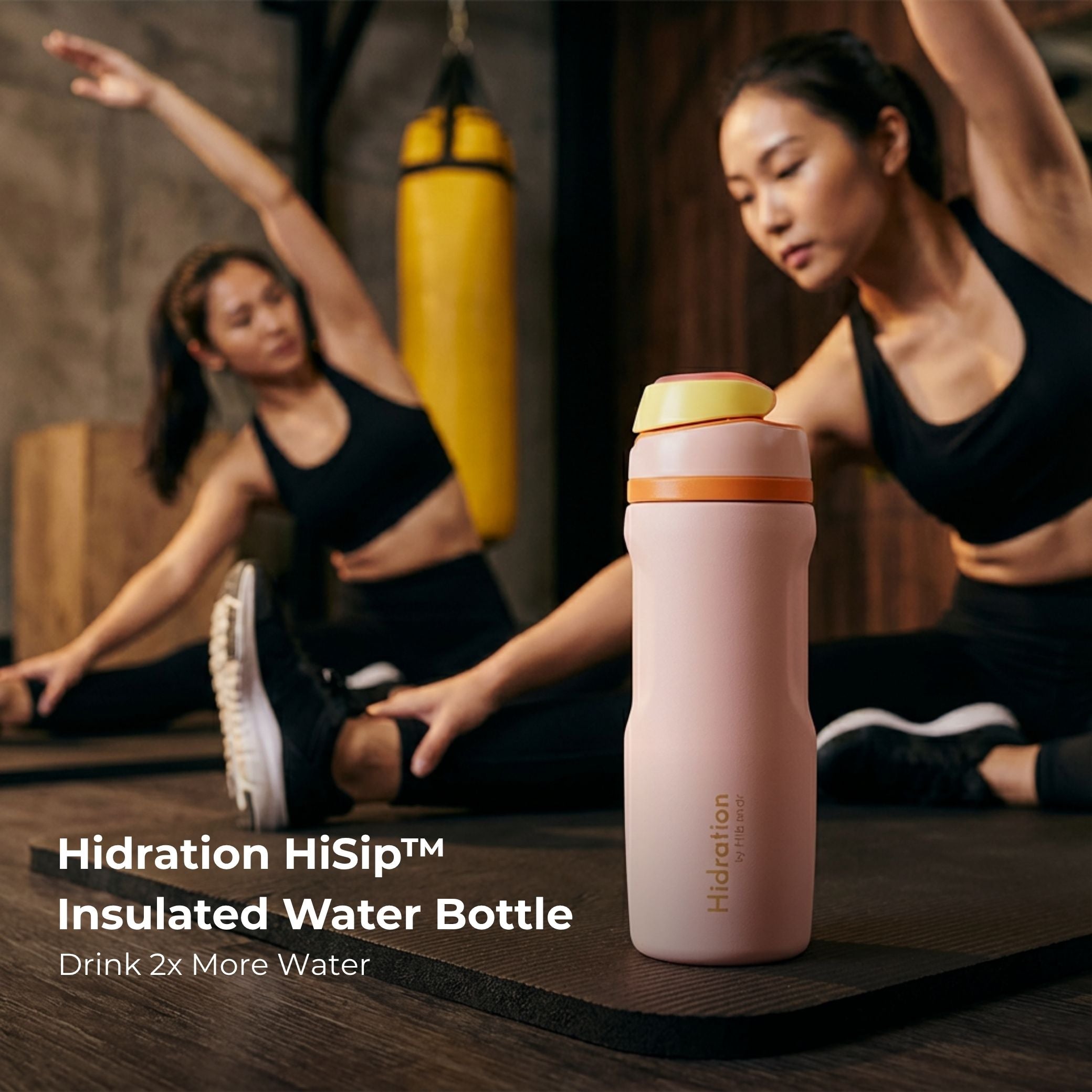 Ultimate Health Lifestyle Bundle